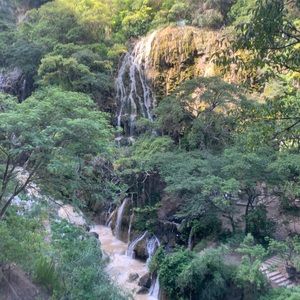 Meet your Posher, Ronaldo